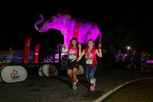 BIB: 
                            <button type="button" onclick="openModal(26534771)" class="btn btn-primary btn-sm float-right btn-popup" data-toggle="modal" data-target=".modal-high-quality">
                        <i class="fas fa-shopping-cart"></i> Add to Cart
                    </button>
                                            <button type="button" onclick="isThisMe(26534771, true)" class="btn btn-success btn-sm float-right btn-popup btn-isme hidden" data-toggle="tooltip" data-placement="bottom" title="นี่คือรูปของคุณใช่ไหม คลิกที่นี่เพื่อเอาเข้าอัลบั้ม">
                        <i class="fas fa-plus"></i> Add to album
                    </button>
                    <button type="button" onclick="isThisMe(26534771, false)" class="btn btn-warning btn-sm float-right btn-popup btn-isnotme hidden">
                        <i class="fas fa-ban"></i> Remove from album
                    </button>